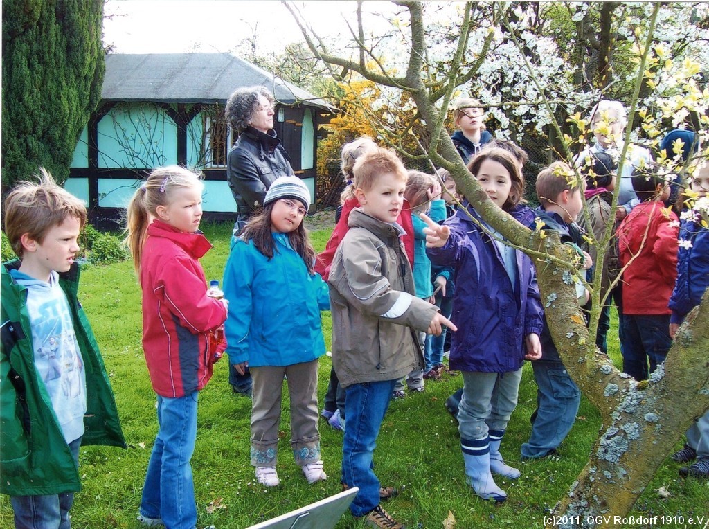 OGV-Jugendarbeit - BRCKENSCHULE im OGV